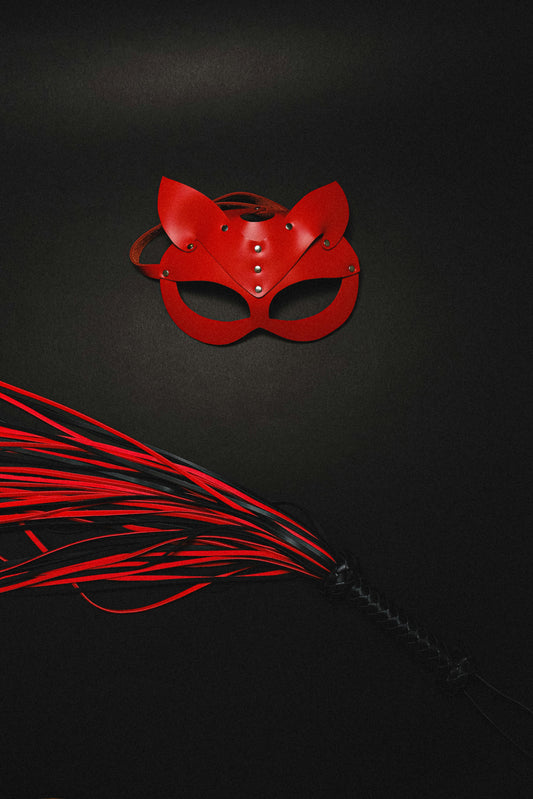 Flogger & Co. – Spanking 101