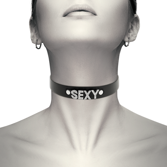 COQUETTE CHIC DESIRE - SEXY VEGAN LEATHER COLLAR