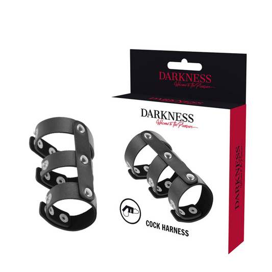 DARKNESS - ADJUSTABLE DOUBLE LEATHER PENIS AND TESTICLE RING