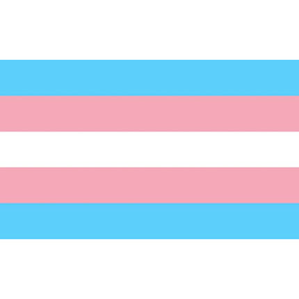 PRIDE - TRANSSEXUAL FLAG 90 X 150