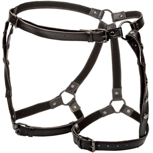 CALEXOTICS - EUPHORIA RIDING TOP HARNESS