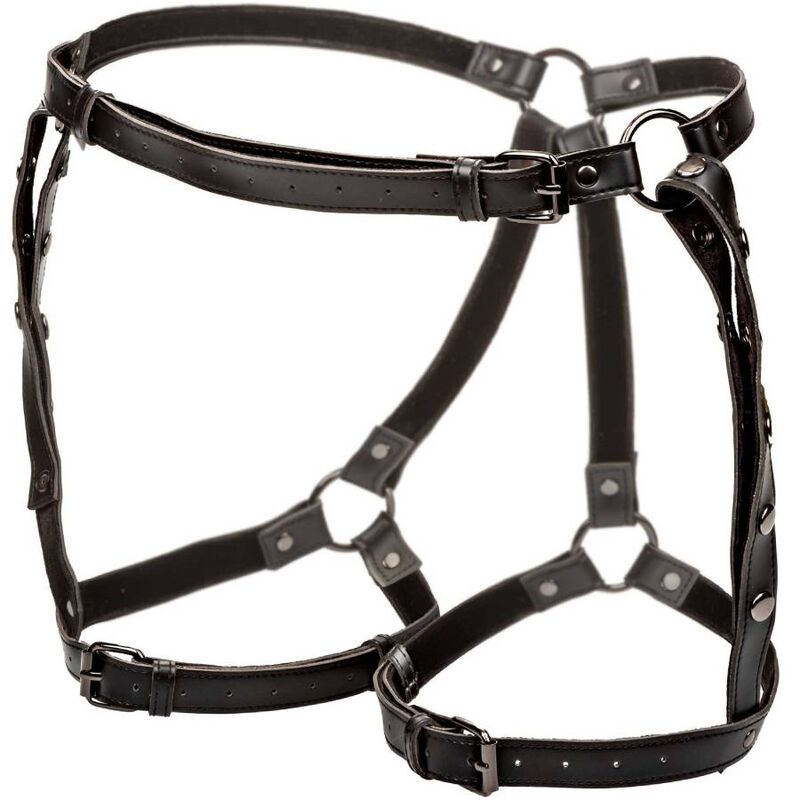 CALEXOTICS - EUPHORIA PLUS SIZE RIDING TOP CIRCUIT