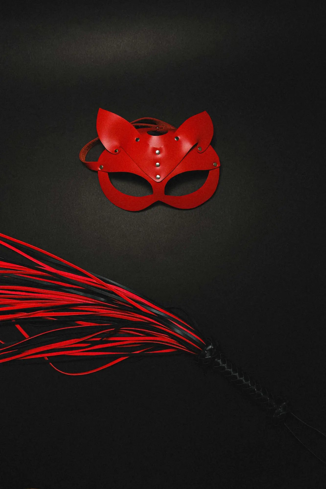 Flogger & Co. – Spanking 101