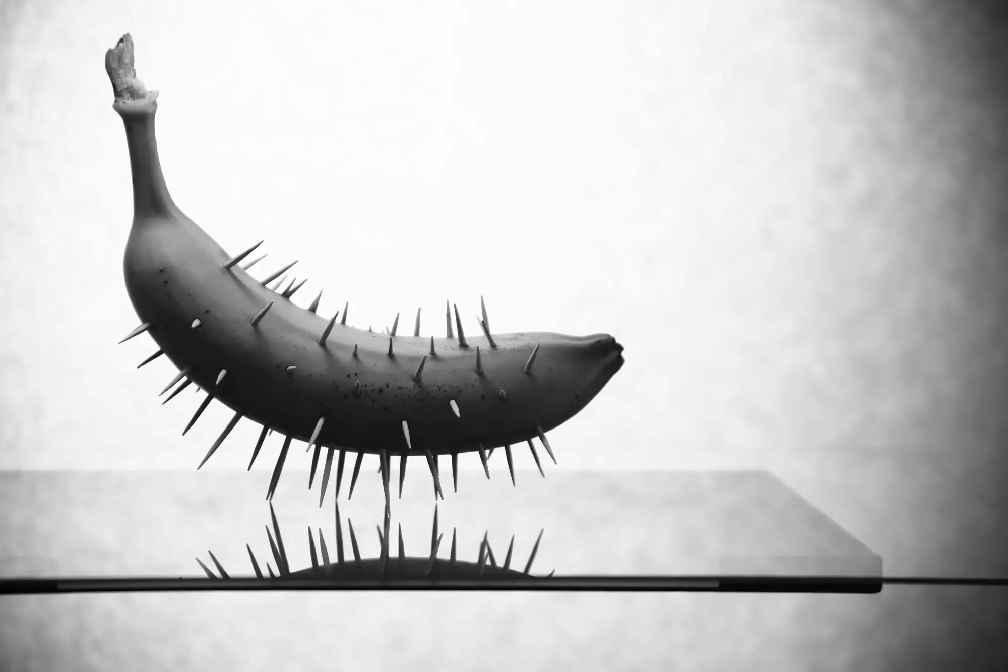 Peniskäfige – Lust durch Kontrolle