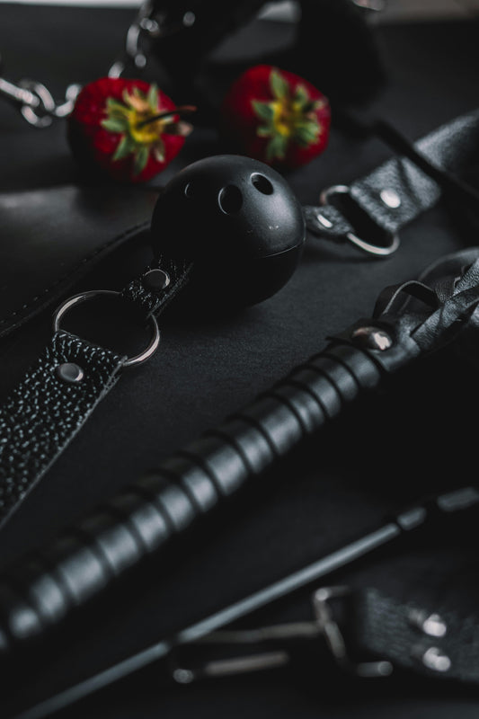 Ballgag Basics – Was du wissen solltest, bevor du ihn benutzt