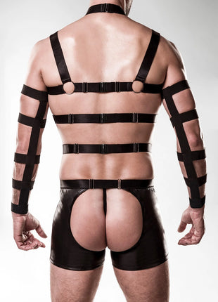 5-teilges Harness-Set 20050 von Grey Velvet - Herren-Harness-Set