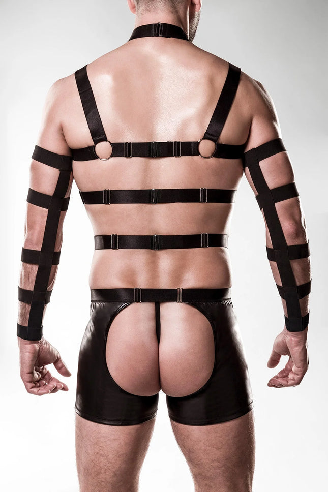 5-teilges Harness-Set 20050 von Grey Velvet - Herren-Harness-Set