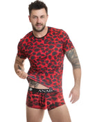 https://dreamlove.gesio.be/productos/imagenes/img_142308_4b7edafa7ef6af933557206a5e3142ca_1.jpg