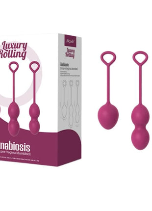 ARMONY - ANABIOSIS VAGINALHANTEL 3 EBENEN BURGUND - Chinesische Bälle
