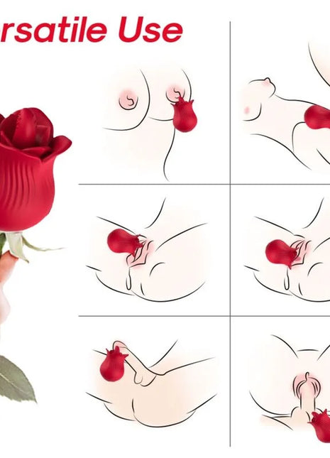 ARMONY - ROSA VIBRATOR & STIMULATOR ROT - Klitorissauger mit Vibration