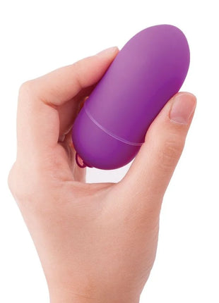 Lila silikon eiförmiger vibrator in der hand gehalten von b swish bnaaughty unleashed klassische fliederfernbedienung