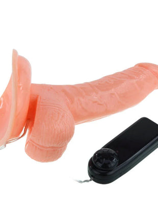 Rosa silikon realistischer penis dong mit schwarzer fernbedienung von BAILE für den erwachsenenbereich