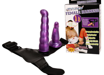 Lila silikon weibliches anal und vaginalgeschirr mit zwei vibratoren für g-punkt stimulation 17 cm