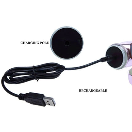 Baile wiederaufladbarer vibrator mit rotation und pochendem schmetterlingsstimulator mit schwarzem usb ladekabel und metallbasis