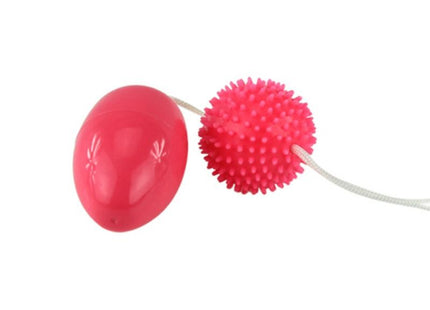 Ein lebhaftes pinkfarbenes zweiteiliges massageballset mit glattem oval und stacheliger kugel von baile