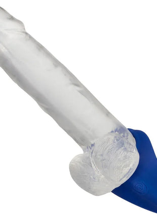 Clear silikon dildo mit blauem fuß von calexotics admiral dammmassager blau für angenehme stimulierung
