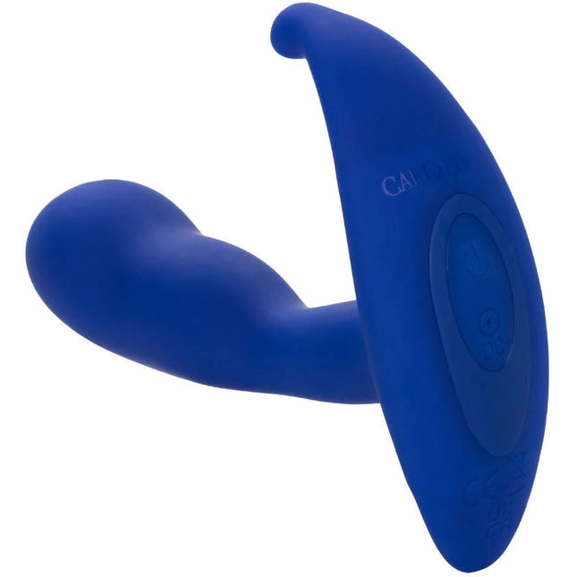 Blauer silikon analplug mit gebogenem griff und steuerungsknopf von calexotics admiral gebogener analstimulator und vibrator
