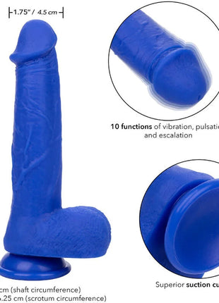CALEXOTICS - ADMIRAL KAPITN REALISTISCHER DILDO-VIBRATOR BLAU - Vibratoren mit Saufnapf
