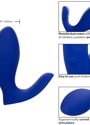 Calexotics admiral rimming prostata-stimulator und vibrator blau aus silikon mit ergonomischen kurven und druckknopfkontrolle