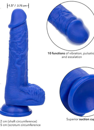 CALEXOTICS - ADMIRAL SAILOR REALISTISCHER DILDO-VIBRATOR BLAU - Vibratoren mit Saufnapf