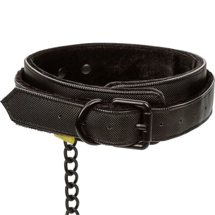 Calexotics boundless halsband und leine aus schwarzem strukturiertem leder mit metallschnalle und kettengliedern