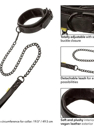 Calexotics boundless halsband und leine schwarzer kunstleder halsband mit abnehmbarem kettengriff und weichem samtfutter