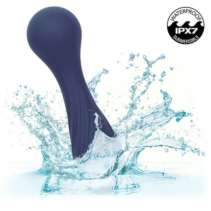 Calexotics charisma temptation massager lila dunkelblau silikon mit abgerundetem kopf und strukturierter griffoberfläche