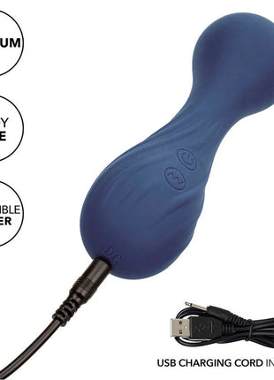 Calexotics charisma temptation massager 12 funktionen lila silikon körperstab mit zwei steuerknöpfen und usb ladekabel