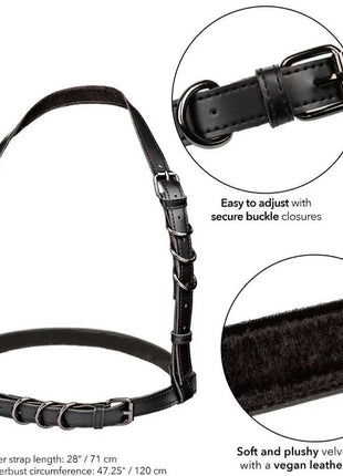 CALEXOTICS - EUPHORIA PLUS SIZE HALTER BUCKLE HARNESS SCHWARZ