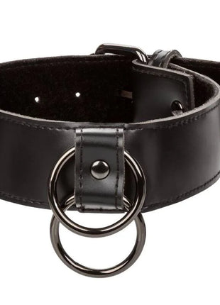 Calexotics euphorie halsband mit kettenleine schwarzes lederhalsband mit zwei überlappenden metallringen und schnalle