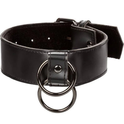 Calexotics euphorie halsband mit kettenleine schwarzes lederhalsband mit zwei überlappenden metallringen und schnalle