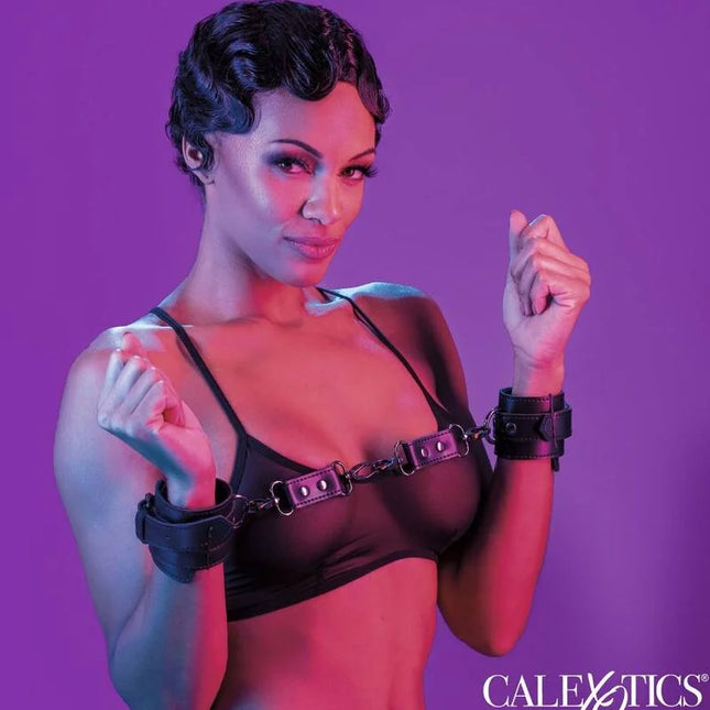 CALEXOTICS - EUPHORIA HANDSCHELLEN - Handschellen