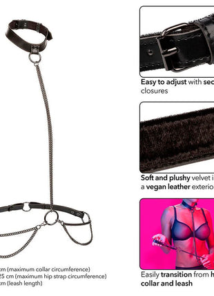 Calexotics euphoria kettenhalfterhalsband und leine aus schwarzem leder mit kettenglied und samtweichem innenfutter