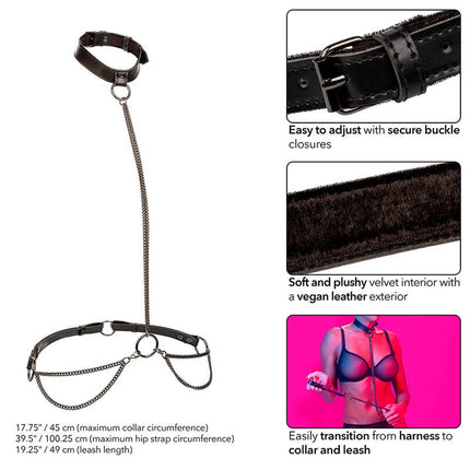 Calexotics euphoria kettenhalfterhalsband und leine aus schwarzem leder mit kettenglied und samtweichem innenfutter