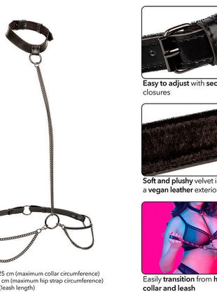 Schwarzes lederhalsband mit samtweichem samtfutter und einer kettleine von calexotics euphorie übergröße