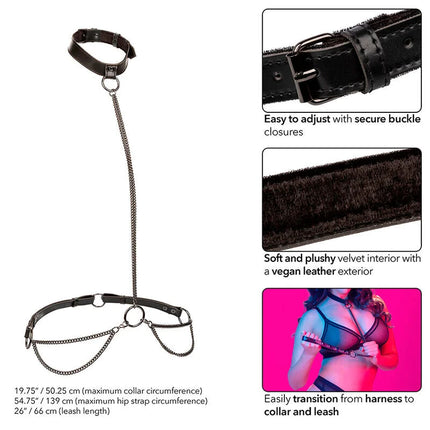 Schwarzes lederhalsband mit samtweichem samtfutter und einer kettleine von calexotics euphorie übergröße