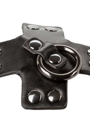 CALEXOTICS - EUPHORIA O-RING SCHWARZ - Nippelcover