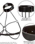 https://dreamlove.gesio.be/productos/imagenes/img_173083_a2539821ffcbd794101ca73abff779d1_1.jpg