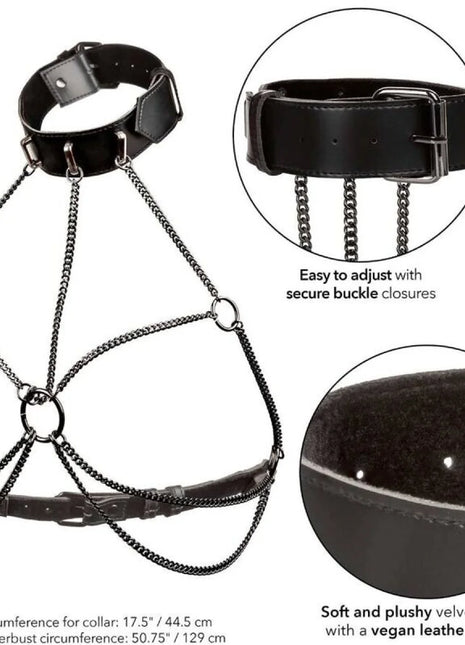 https://dreamlove.gesio.be/productos/imagenes/img_173083_a2539821ffcbd794101ca73abff779d1_1.jpg