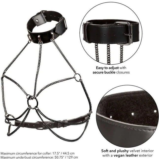 https://dreamlove.gesio.be/productos/imagenes/img_173083_a2539821ffcbd794101ca73abff779d1_1.jpg