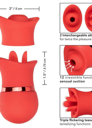Roter silikon vibrator in rosenform mit goldfarbenem metallband und austauschbaren aufsätzen von calexotics french kiss suck play set