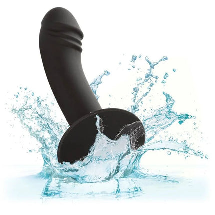 CALEXOTICS - GEBOGENER ANALSTUDIE - Analplug