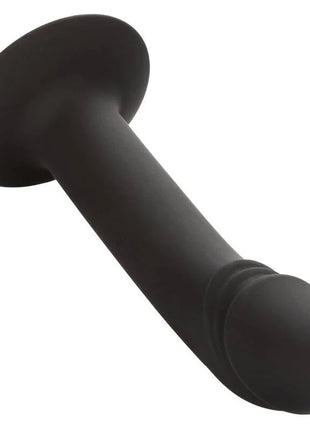 CALEXOTICS - GEBOGENER ANALSTUDIE - Analplug
