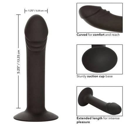 CALEXOTICS - GEBOGENER ANALSTUDIE - Analplug