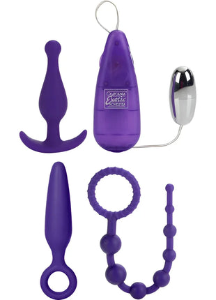 Lila silikon analplug mit gebogener basis und glattem konischem schaft aus dem calexotics ihr anal kit