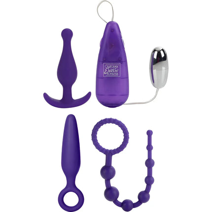Lila silikon analplug mit gebogener basis und glattem konischem schaft aus dem calexotics ihr anal kit