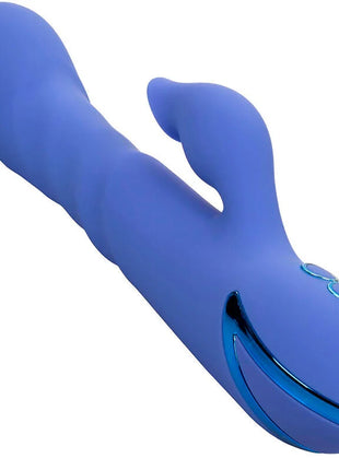 Blauer silikon hase vibrator mit drei runden bedientasten und metallischem akzent von calexotics california dreaming