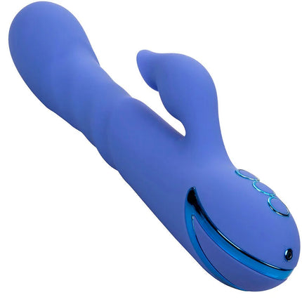 Blauer silikon hase vibrator mit drei runden bedientasten und metallischem akzent von calexotics california dreaming