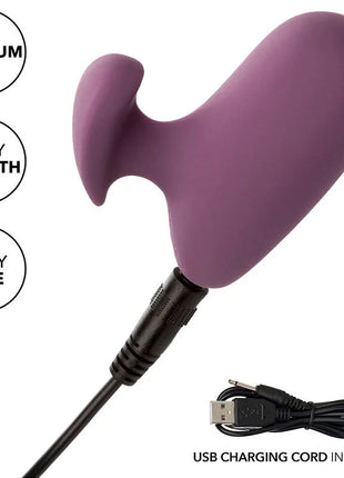 Lila silikon erwachsenenspielzeug mit ergonomischem design und usb-ladekabel von calexotics mod touch stimulator