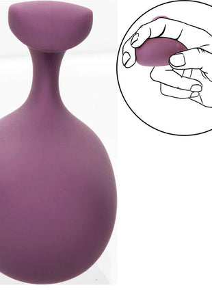Paltes lila silikon stressball mit rundlichem körper und schmalem hals von calexotics mod touch stimulator